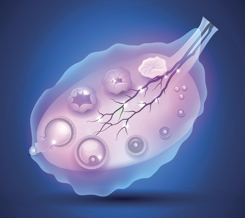 兰州三代试管婴儿医院哪家好？2026年排名与正规生殖中心费用解析